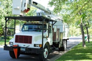 Ladder truck Minnesota Tree Experts