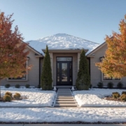 Winter Tree Care Tips Winter Tree Care Tips