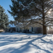 mature Tree care in Winter mature Tree care in Winter